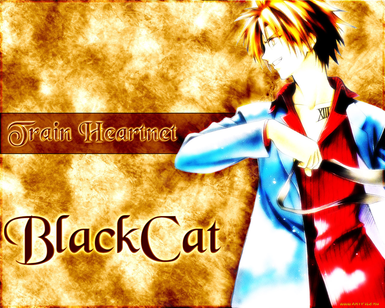 , black, cat
